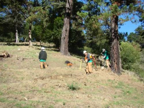 VOA-creating-new-trail-spur-over-to-Shepherd-Canyon-Scen-1